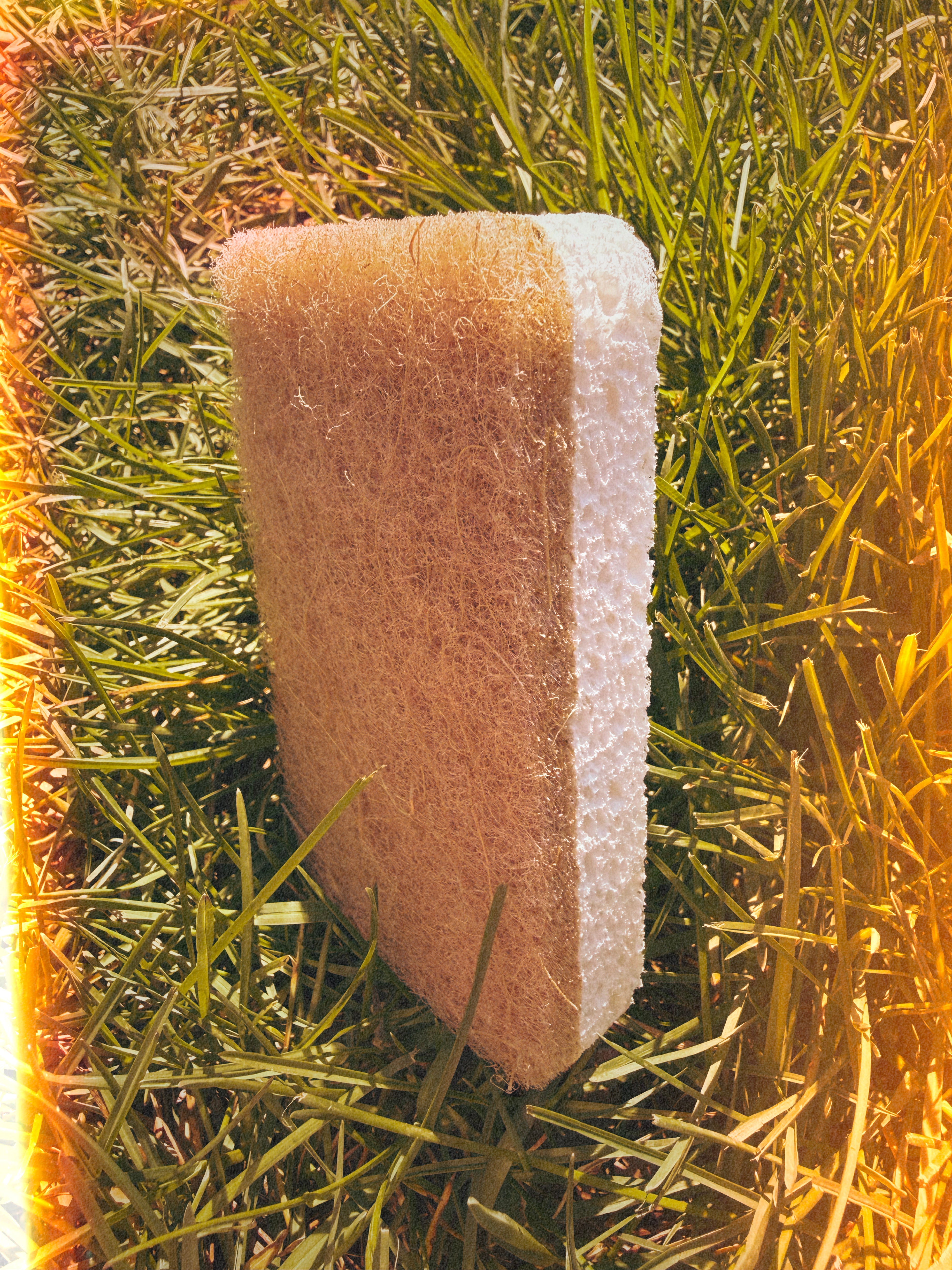 Sisal sponge